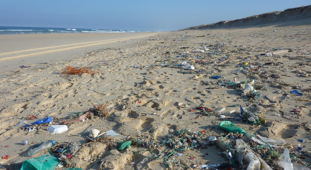 Los plásticos predominan en la basura marina de las playas bonaerenses.