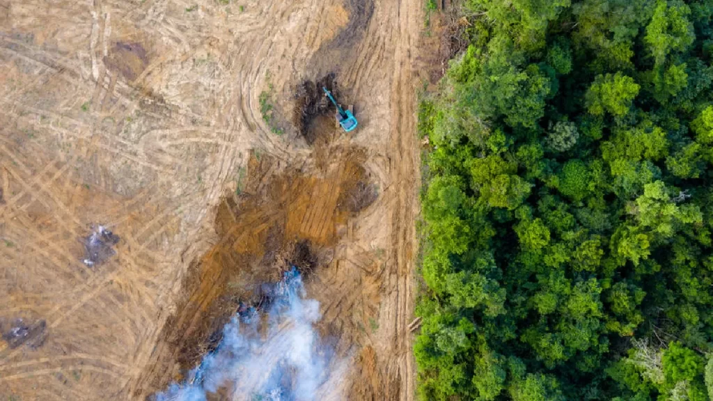 Proponen hacer las penas por Ecocidio más severas para cuidar el ambiente.