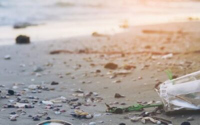 El plástico podría ser perjudicial para la salud humana en las próximas décadas