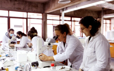 Investigadores de la Universidad Nacional de Quilmes promocionan un nuevo texto ambiental