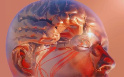 Investigan cómo los incendios pueden afectar la salud mental