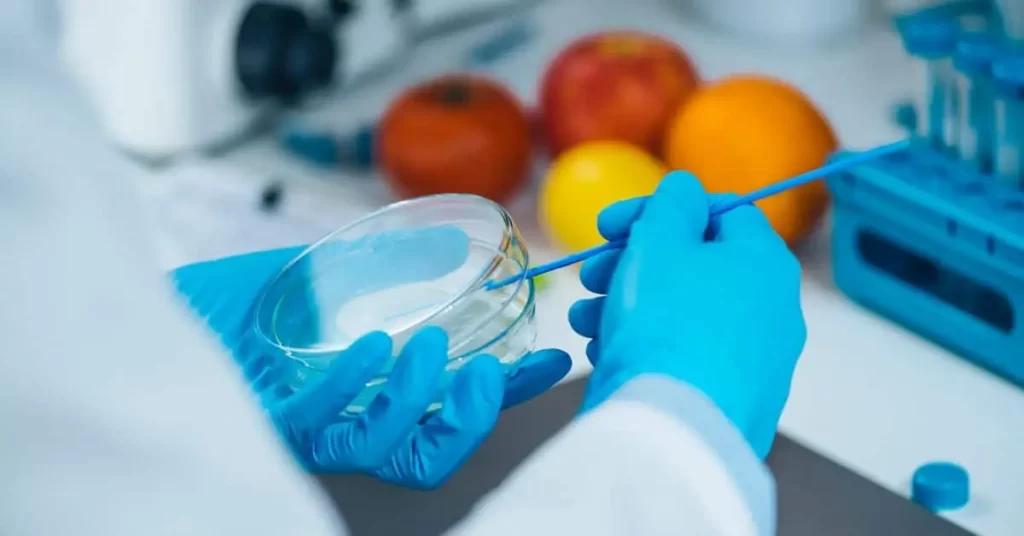 Piden un cambio a las subvenciones alimentarias de la Unión Europea.