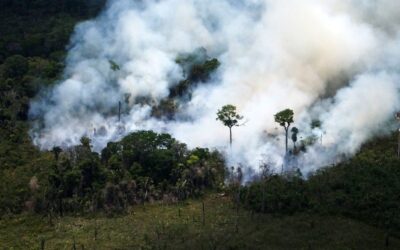 El impacto imprevisto de los incendios en la Amazonía