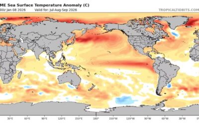 El clima global podría cambiar a partir del avance del “Súper El Niño”