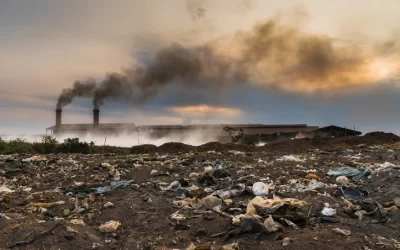 Advierten sobre un vínculo entre salud mental y contaminación
