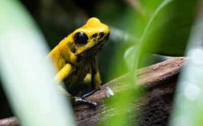 Argentina amplía su relevamiento de biodiversidad