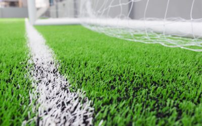 El césped artificial pone en peligro a los peces