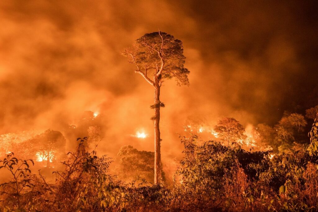 El impacto imprevisto de los incendios en la Amazonía.