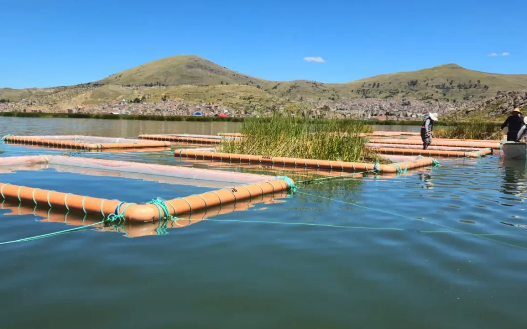 Buscan limpiar el lago Titicaca con filtros verdes flotantes.