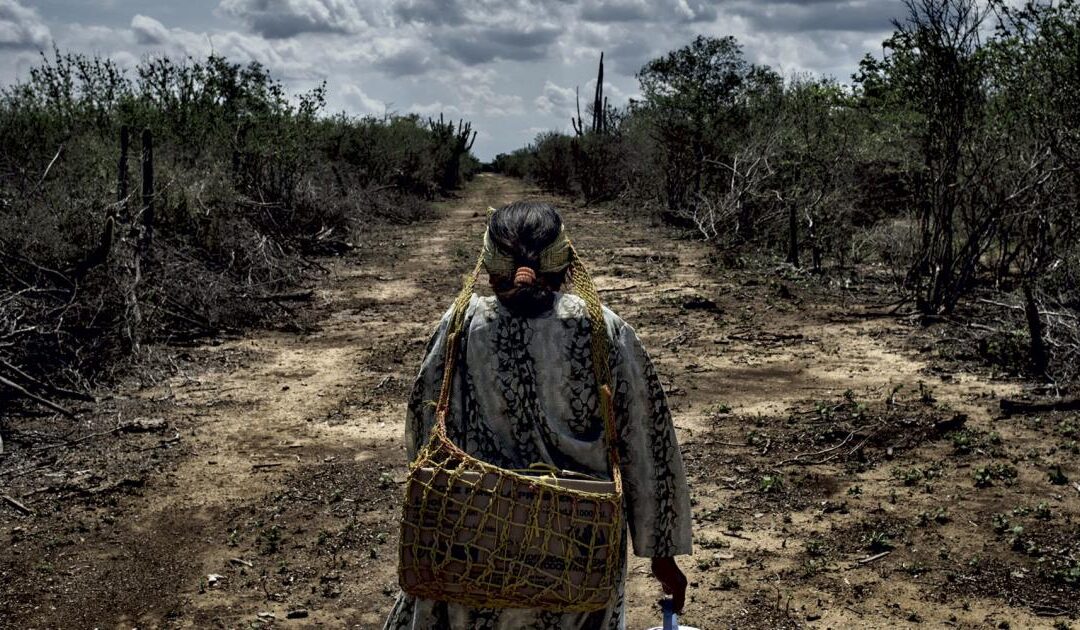 Logran crear el mapa genético más completo de los pueblos indígenas.