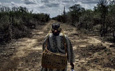 Logran crear el mapa genético más completo de los pueblos indígenas