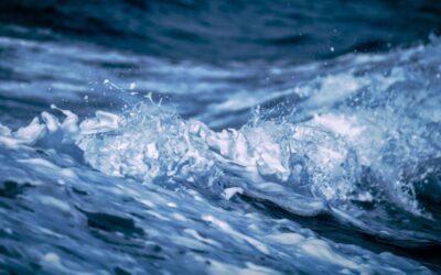 El aumento del nivel del mar podría provocar la liberación de carbono almacenado