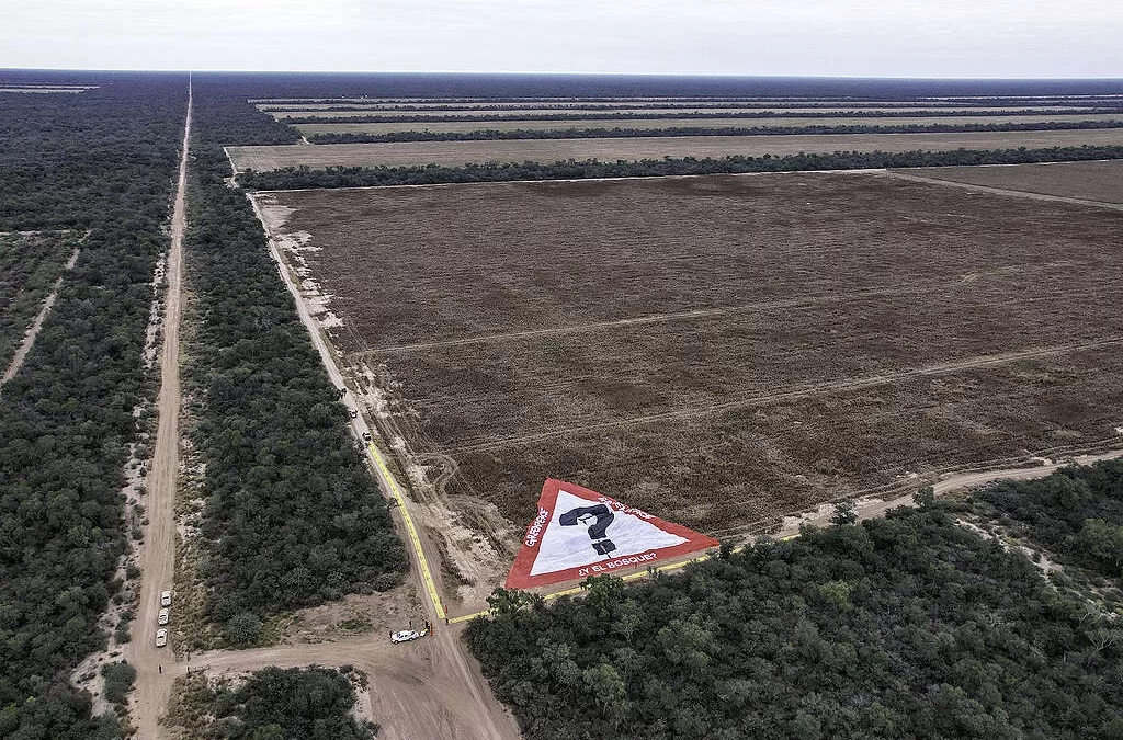 La demanda global amenaza el futuro de los bosques.