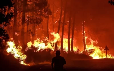 El fuego se expande sobre la mayor reserva ecológica de Europa