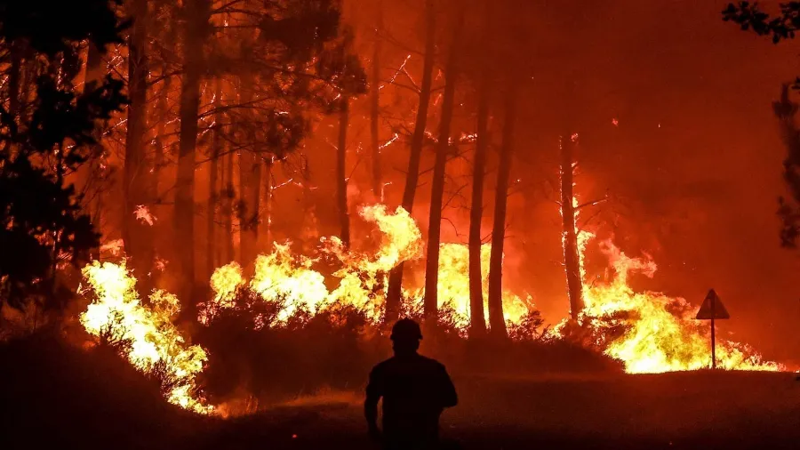 El fuego se expande sobre la la mayor reserva ecológica de Europa.